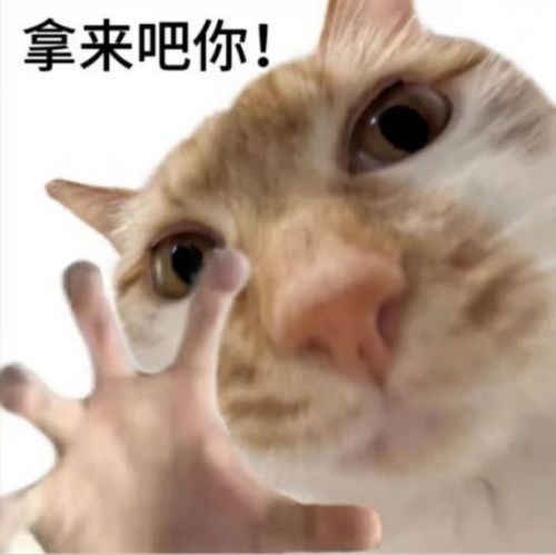 wps_doc_6.jpg